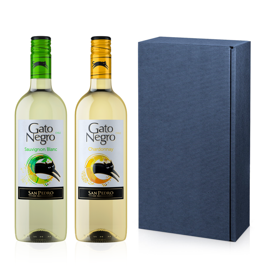 GATO NEGRO 2er Geschenkset Weißwein 0,75l - zwei chilenische, trockene Weißweine 