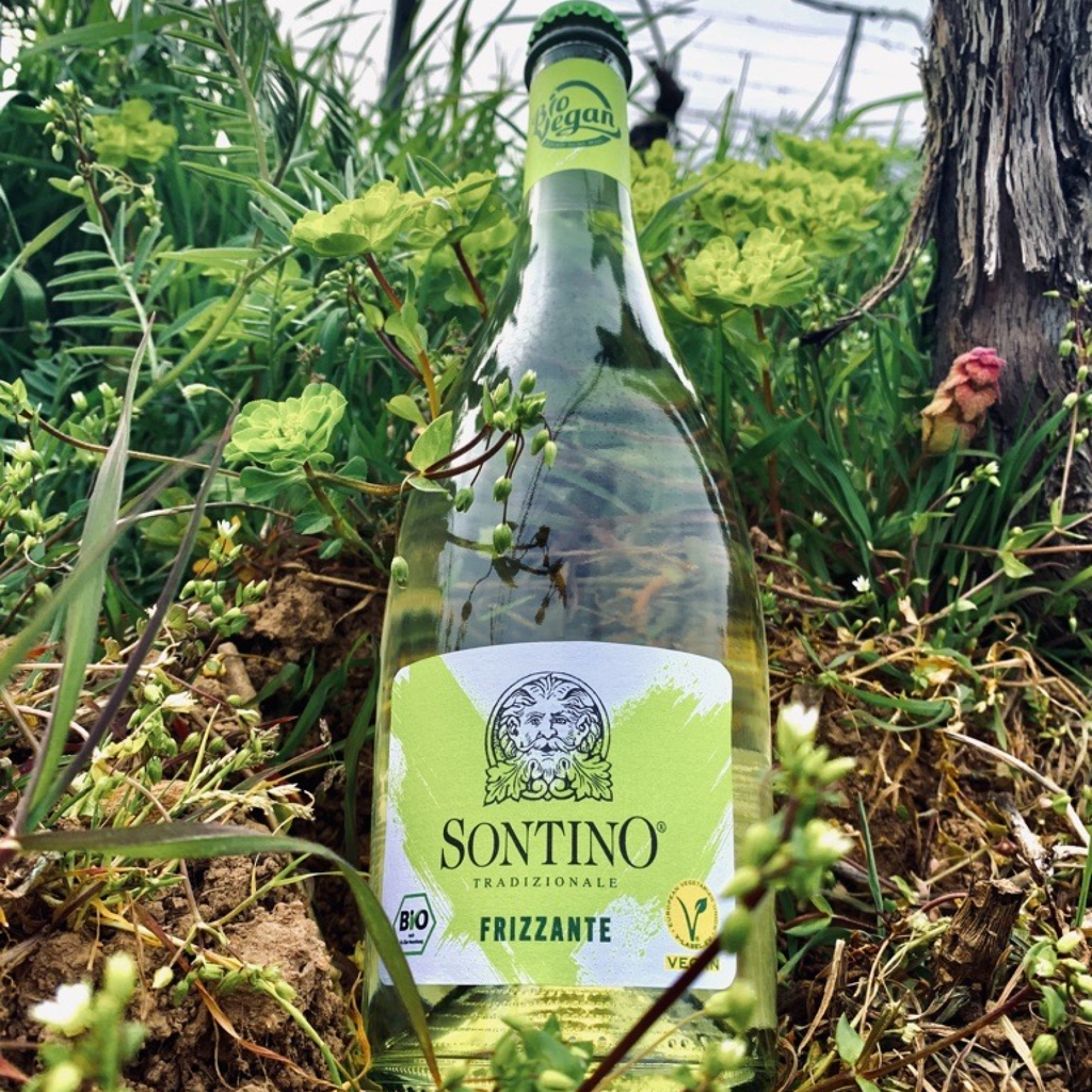 SONTINO BioVegan Frizzante Trocken 0,75l halb liegend im Gras in einem Weinberg 