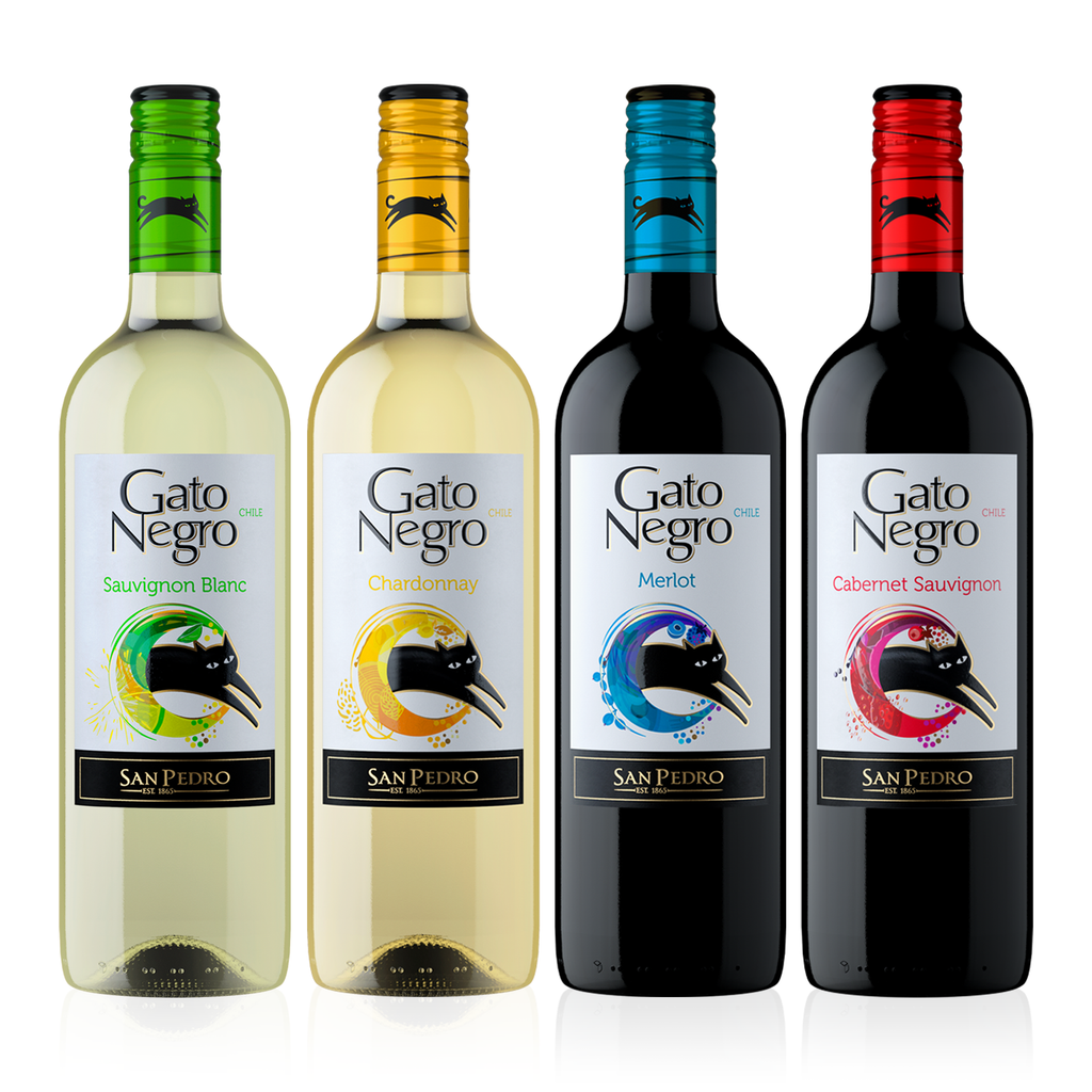 GATO NEGRO Probierpaket Chile 0,75l - 4er Karton - chilenischer, trockener Weißwein und Rotwein 